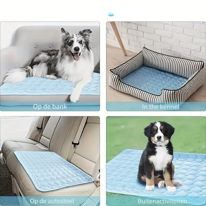 IcyWoof™ | De Beste Zomeroplossing