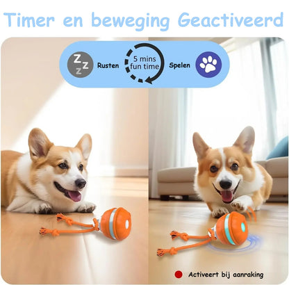 PupPlay™ | Sterk en Langdurig Speelplezier