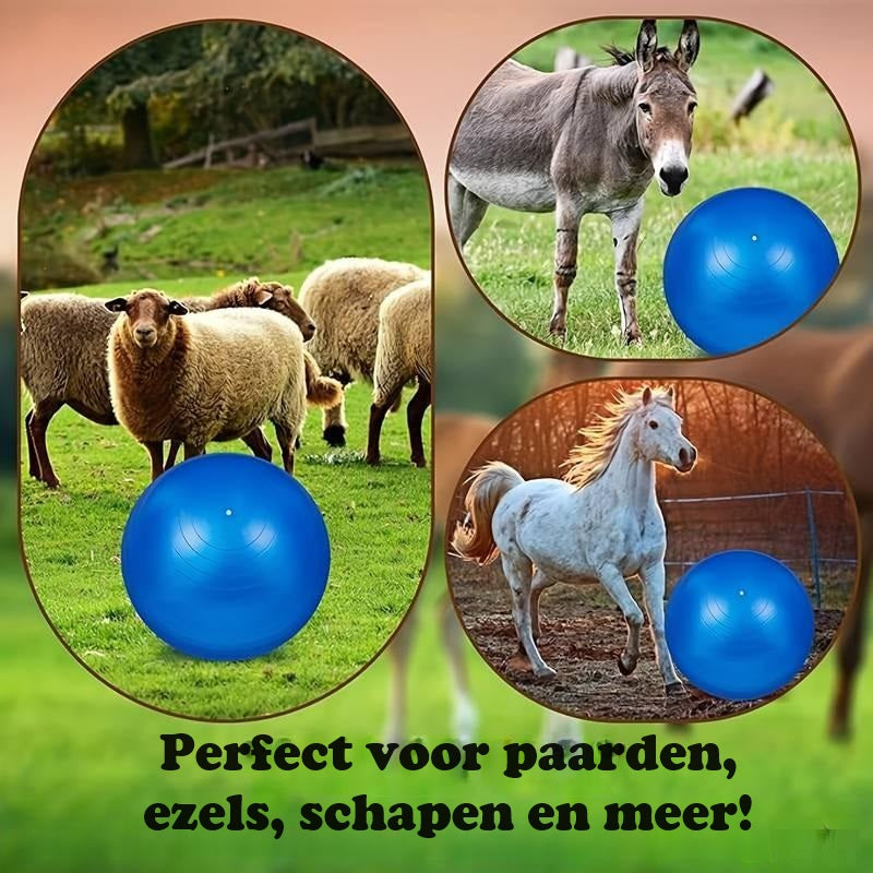 PonyPal™ | Verminder Verveling en Versterk Kracht