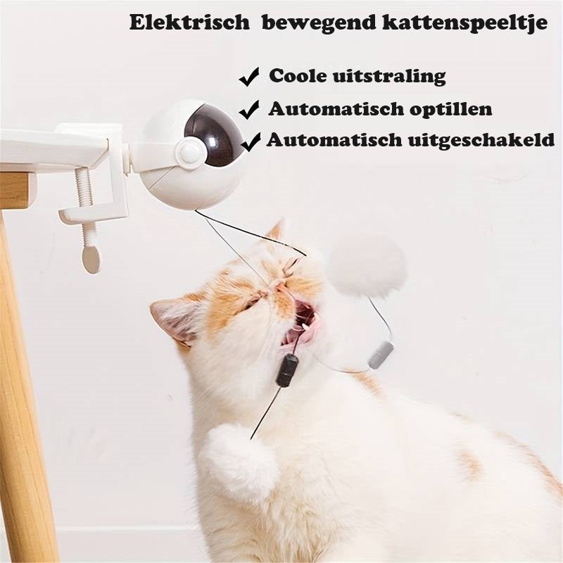 PurrPower™ | Automatische Bewegend Speeltje