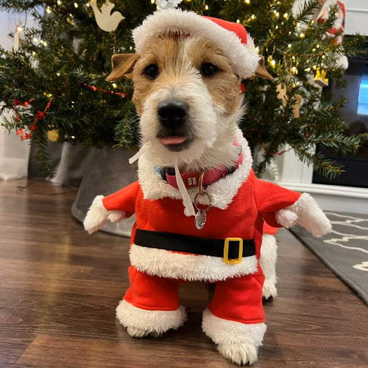 SantaPup™ | Warme hondenoutfit voor de feestdagen