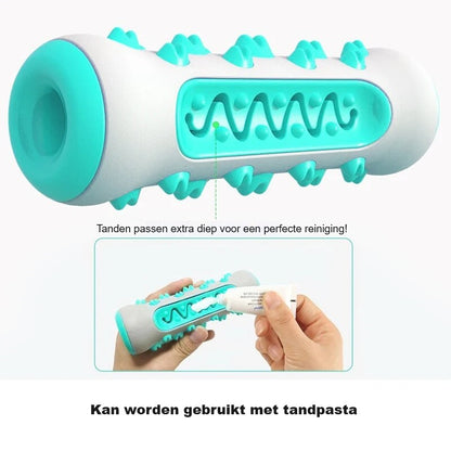 BrushBuddy™ | Gezond Gebit voor Jouw Hond
