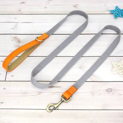 WalkPro™ | Perfecte Controle en Comfort