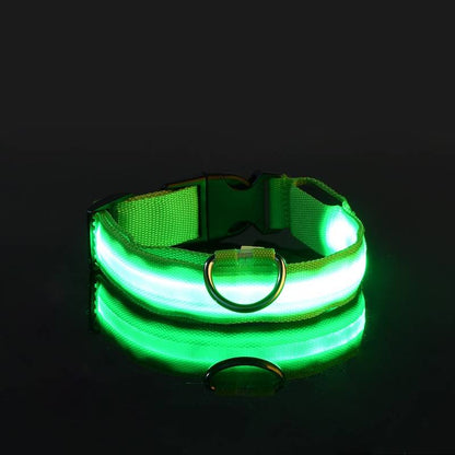 GlowDog™ | Verminder Angst Voor Aanrijdingen