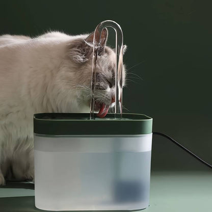 AquaWhisk™ | De Ultieme Hydratatie
