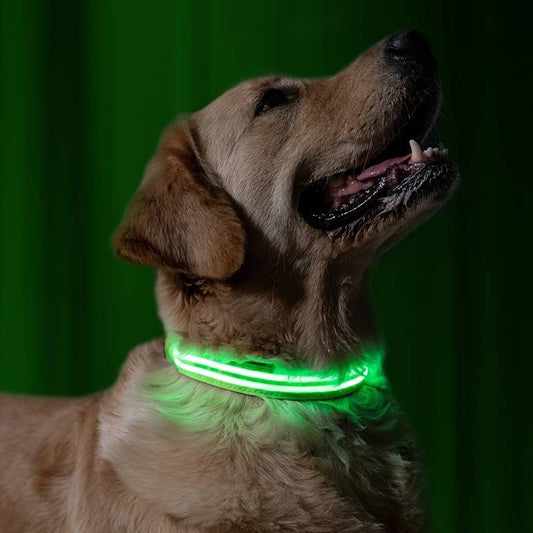 GlowDog™ | Verminder Angst Voor Aanrijdingen