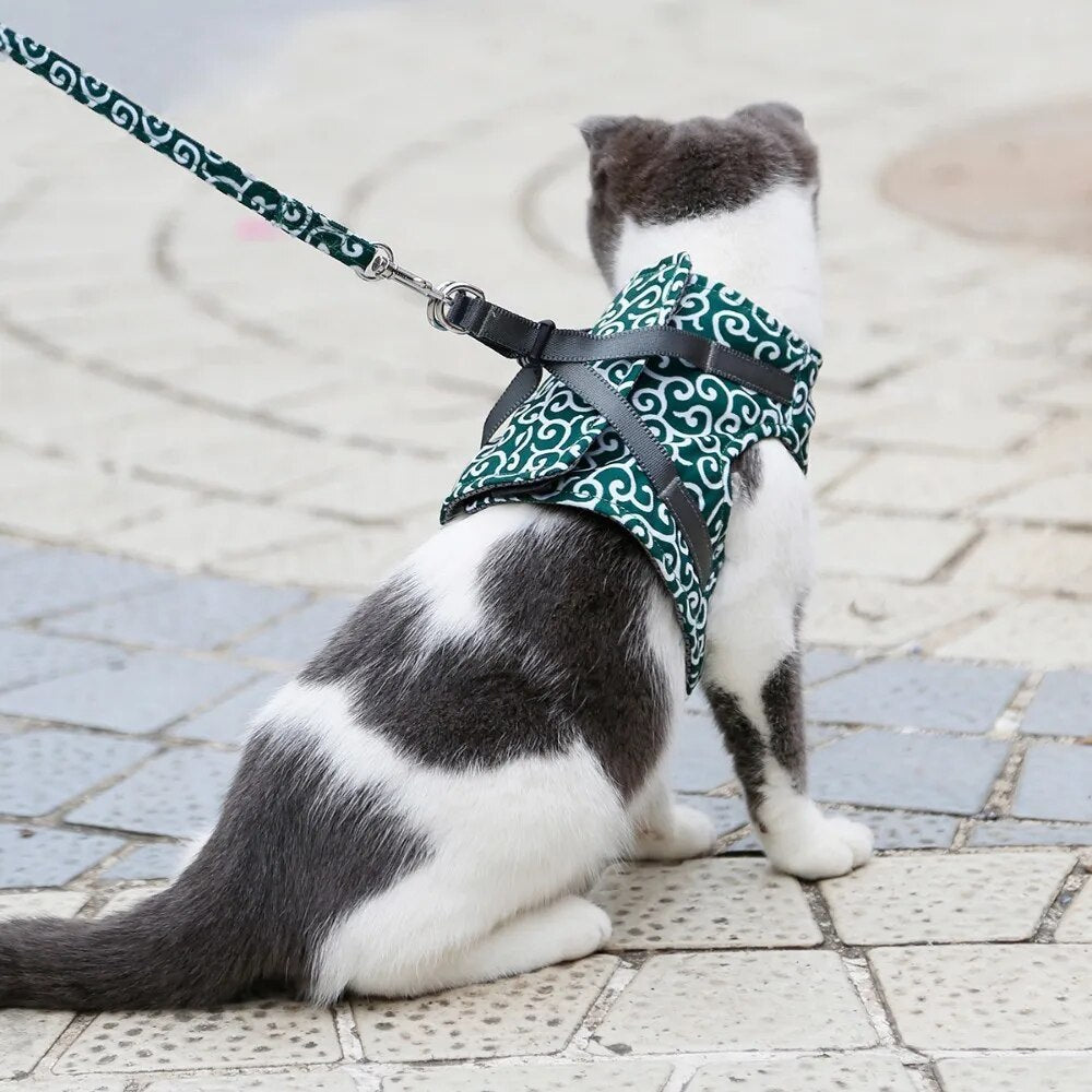 MeowMove™ | Ontdek Samen de Wereld