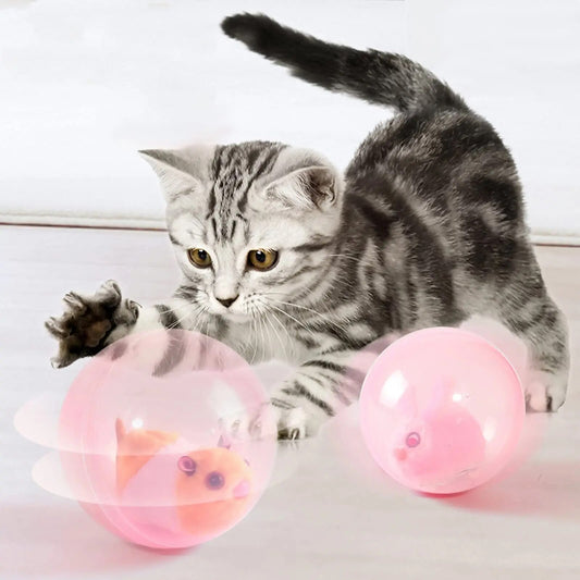 ZoomZing™ |  Interactieve bal voor huisdieren