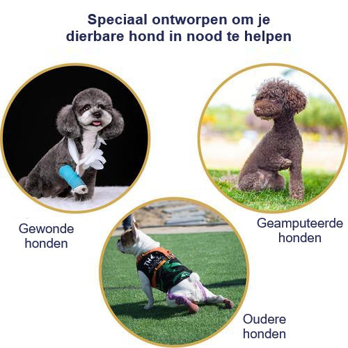 LiftHound™ | Revalidatie en Herstel Hulp Harnas