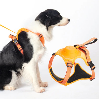 SmartWalk™ | Nooit meer stress van trekkende honden