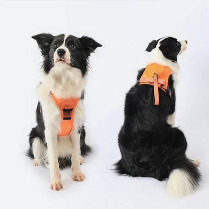 SmartWalk™ | Nooit meer stress van trekkende honden