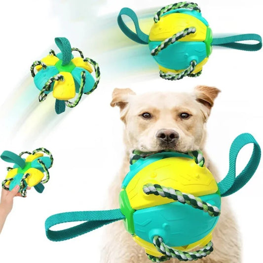 ChewTech™ | 3-in-1 Hondenbal