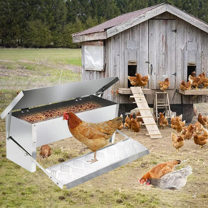 FeedForte™ | Altijd toegang tot vers voer