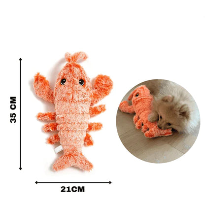 PawLobster™ | Voorkom verveling en houd je hond gelukkig
