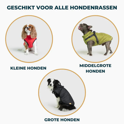 PawsDry™ | Houd Je Hond Warm en Droog