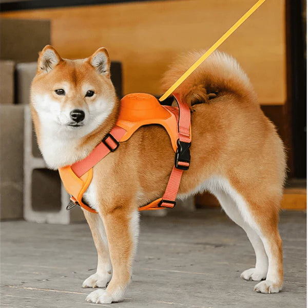 SmartWalk™ | Nooit meer stress van trekkende honden