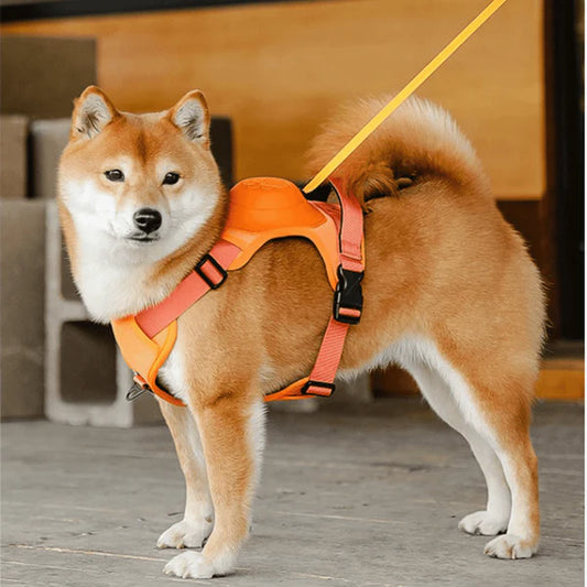 SmartWalk™ | Nooit meer stress van trekkende honden