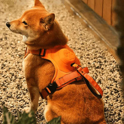 SmartWalk™ | Nooit meer stress van trekkende honden