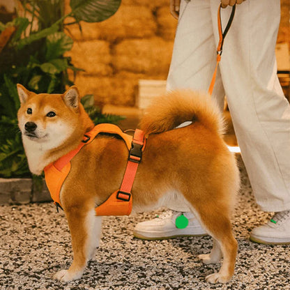 SmartWalk™ | Nooit meer stress van trekkende honden