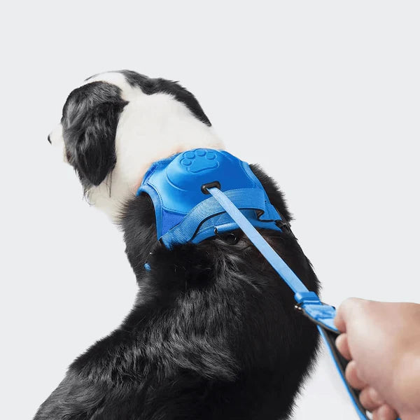 SmartWalk™ | Nooit meer stress van trekkende honden