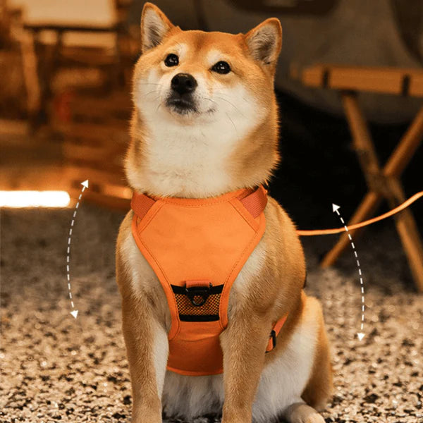SmartWalk™ | Nooit meer stress van trekkende honden
