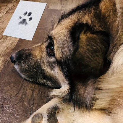 PawPrint™ | Vereeuwig liefde met een uniek geschenk