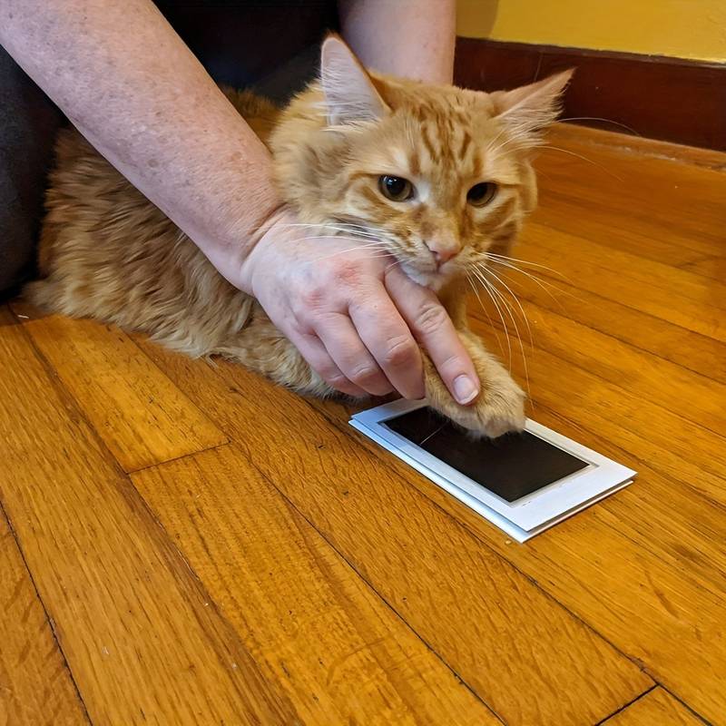 PawPrint™ | Vereeuwig liefde met een uniek geschenk
