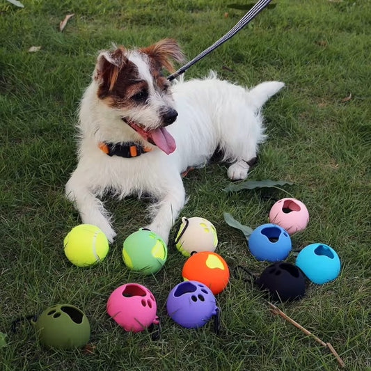 PawBall™ | Balhouder voor Zorgeloos Spel