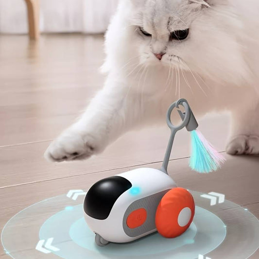 Fizzypaws™ | Eindeloos vermaak voor katten