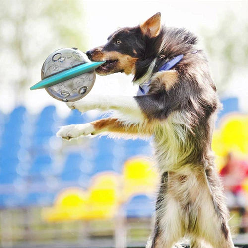 Pawsome™ | Ufo Slow Feeder speelgoed