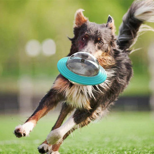 Pawsome™ | Ufo Slow Feeder speelgoed
