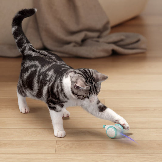 CatRap™ | Houd je kat actief en gelukkig