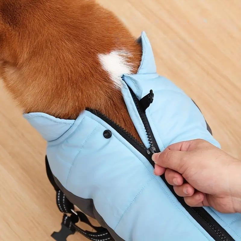 Doegly™ | Winterjas voor honden tegen koude dagen