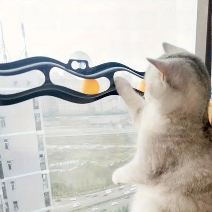 PawSlide™ | Spelen zonder verveling of schade