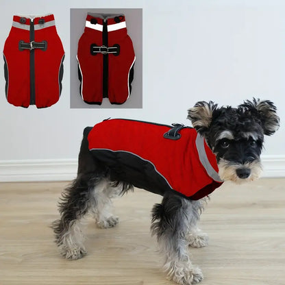 PawSure™ | Droog, warm en zichtbaar in regen en kou
