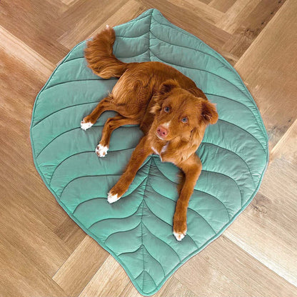 PetLeaf™ | Kalmerende Orthopedische Deken