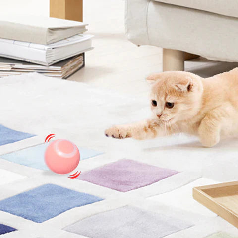 Interactieve SmartBall™ | Speelgoed Katten