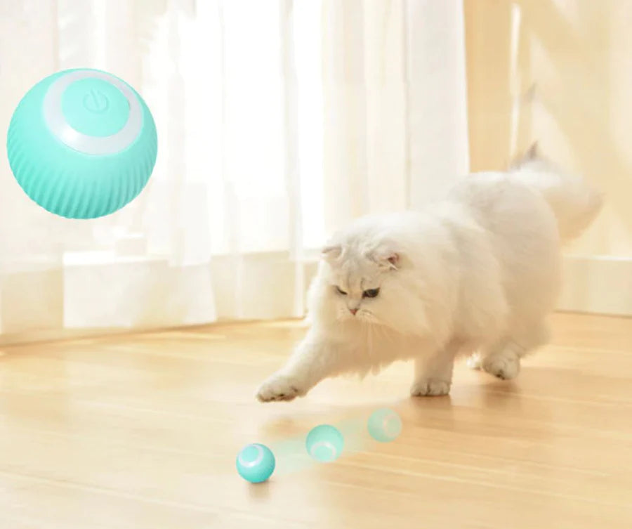Interactieve SmartBall™ | Speelgoed Katten