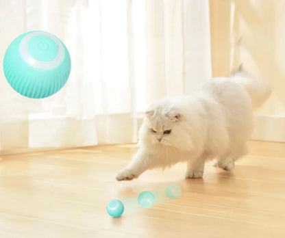 Interactieve SmartBall™ | Speelgoed Katten