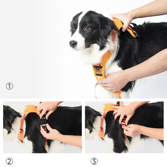 SmartWalk™ | Nooit meer stress van trekkende honden