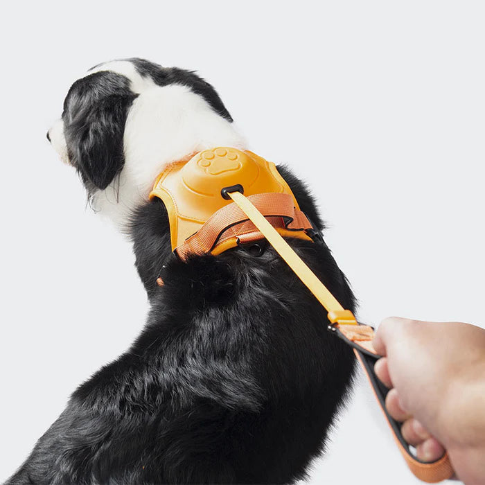 SmartWalk™ | Nooit meer stress van trekkende honden