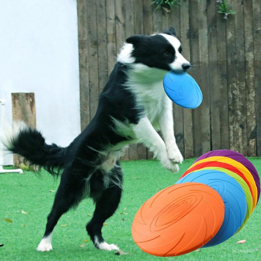 FurrFlyer™ | Stevig Interactief Speelgoed