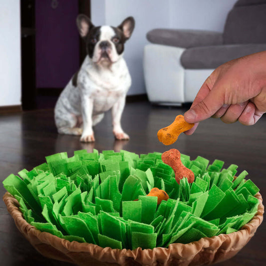 PuzzelPoot™ |  Interactieve Snuffelmat