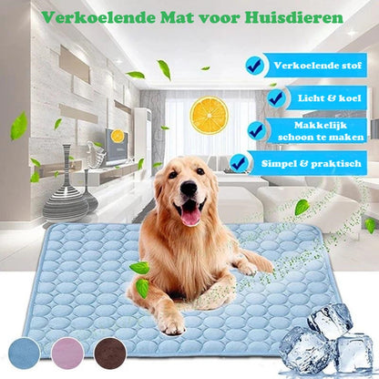 IcyWoof™ | De Beste Zomeroplossing
