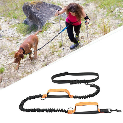 WalkWag™ |  Geniet van moeiteloze wandelingen