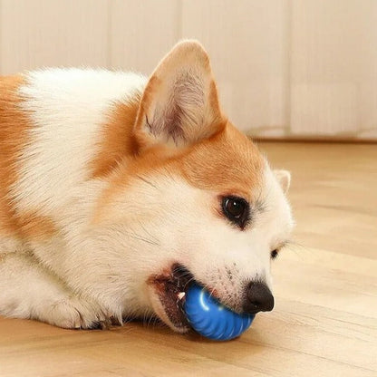 Furbounce™ | Voorkom Verveling en Schade Aan Meubels