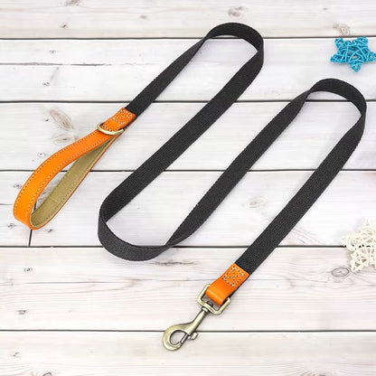 WalkPro™ | Perfecte Controle en Comfort